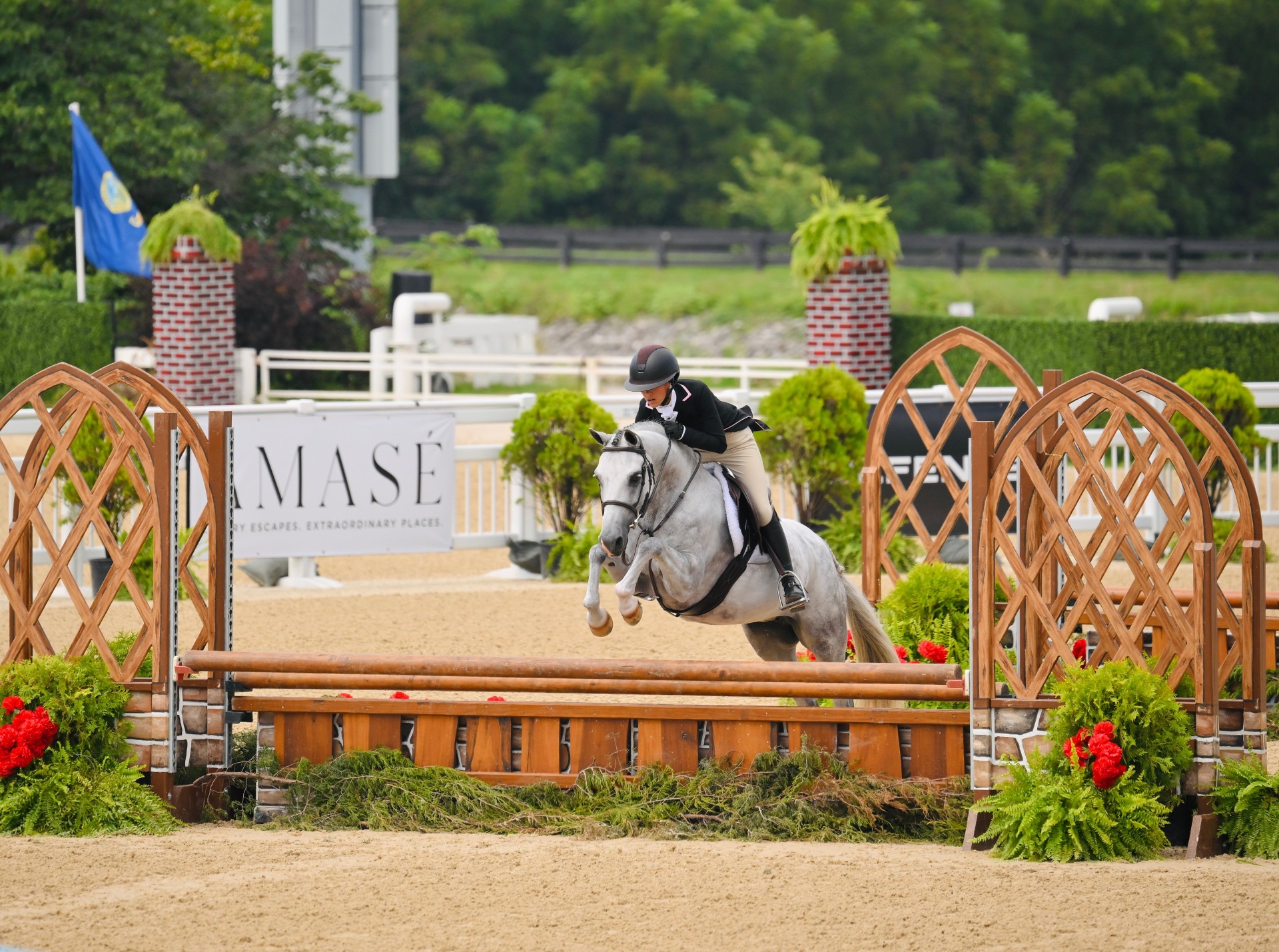 Hollywood Starlet at USEF Pony Finals
