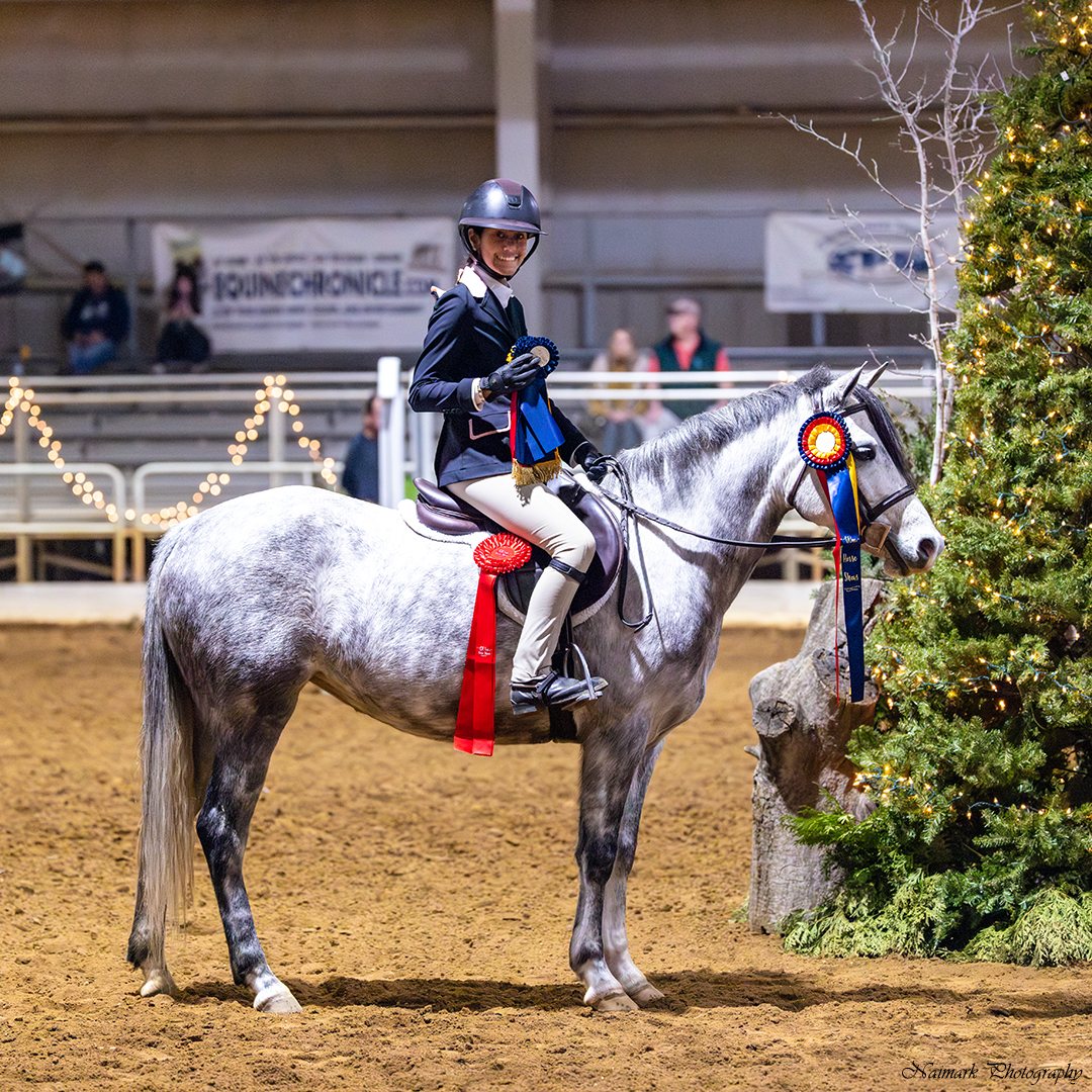 Hollywood Starlet in the show ring