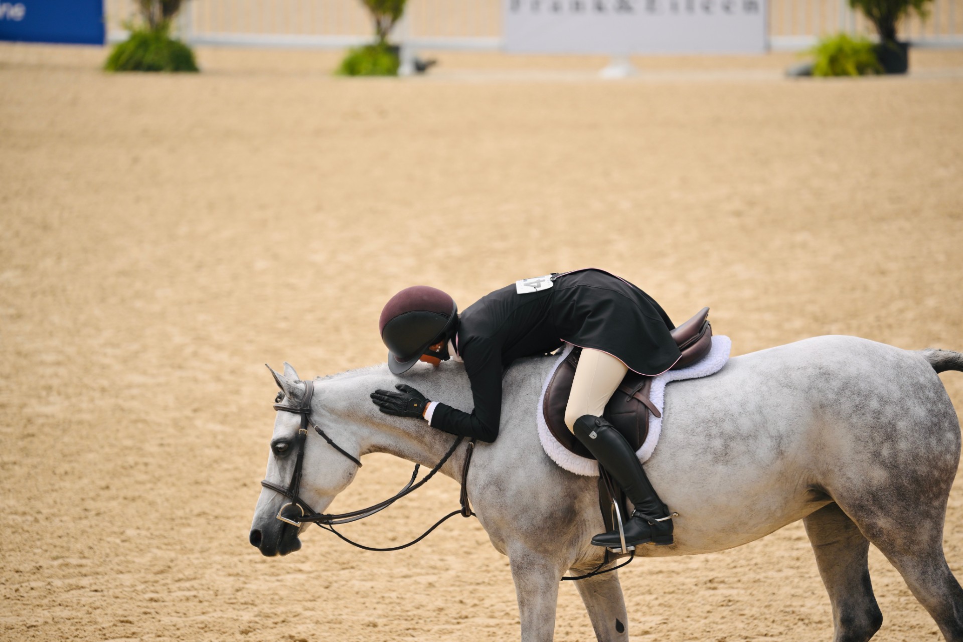 Gigi over a hunter fence